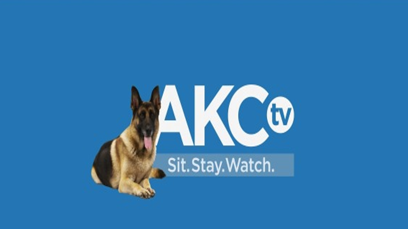 AKC TV Puppies 24/7